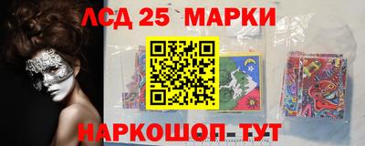 мет Можга