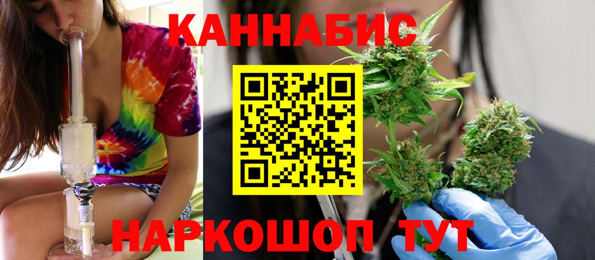 Каннабис планчик Дедовск